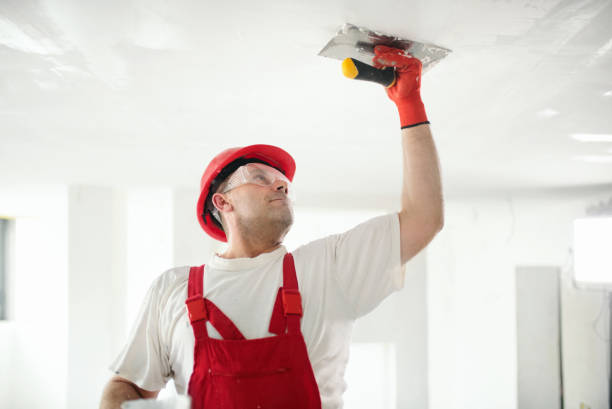 Eco-Friendly and Low-VOC Painting in Highland Lakes, AL